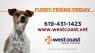 Furry Friend Friday- Overweight Pets