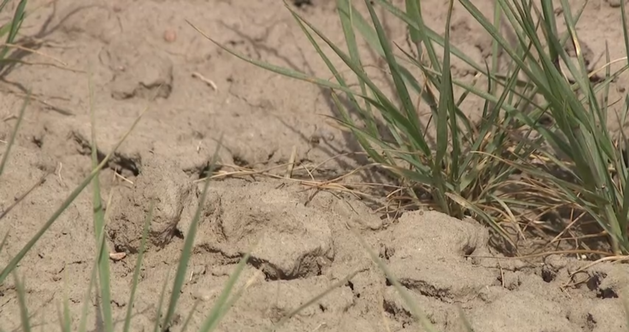 Eastern Colorado farmers face dire crop conditions as severe drought continues to worsen across the region.png