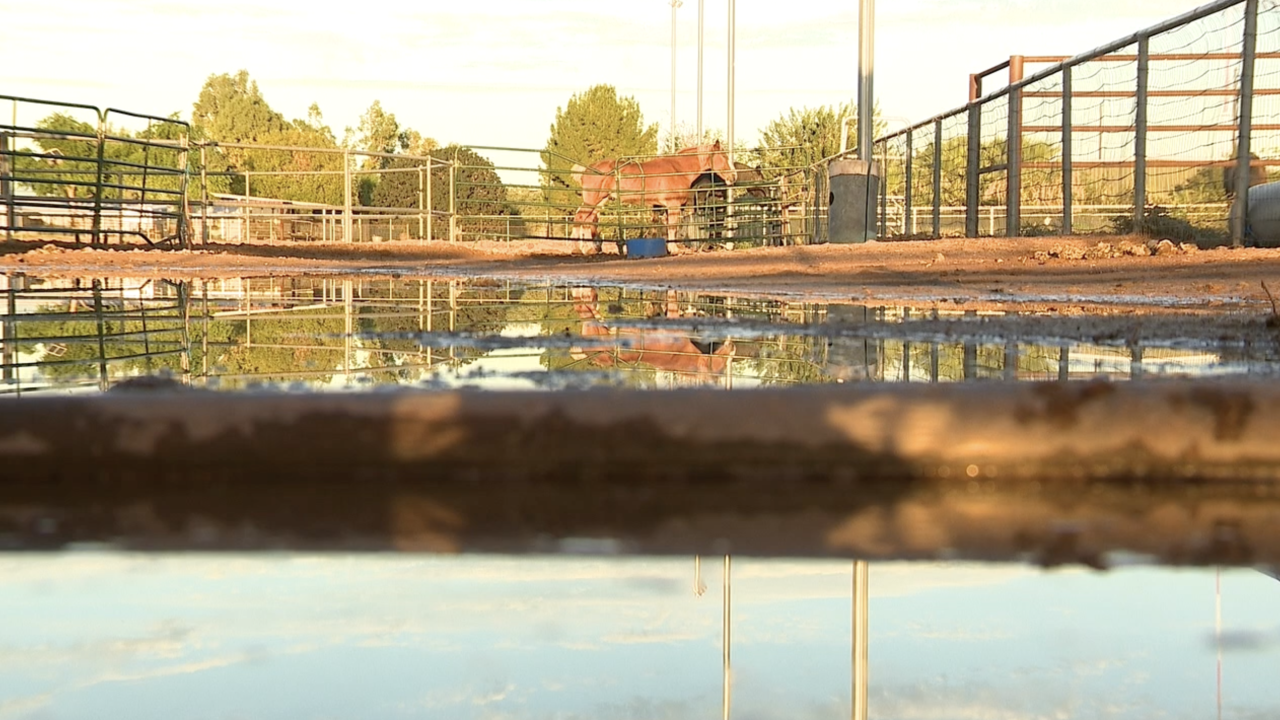 Pinal County farm is cleaning up after monsoon storms 
