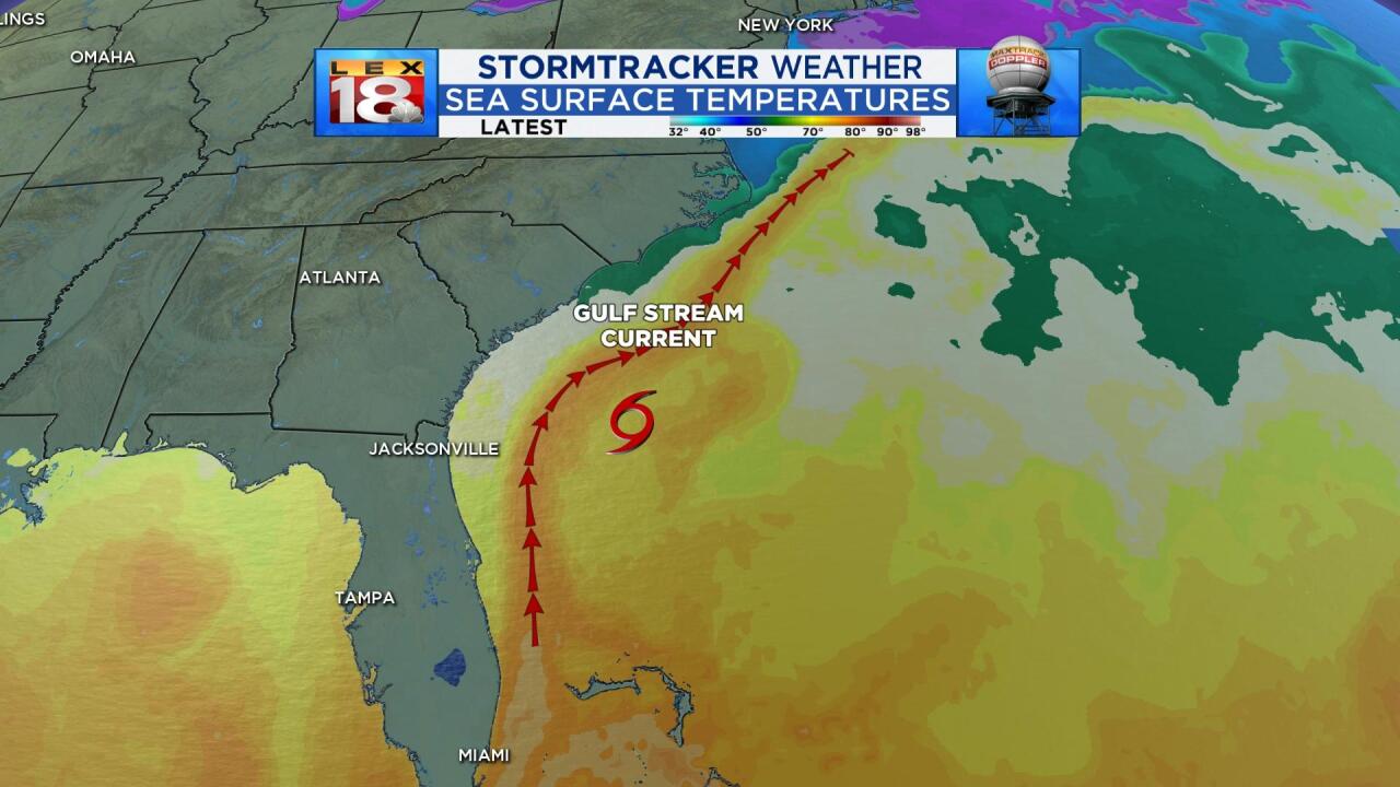 GULF STREAM (1).jpg