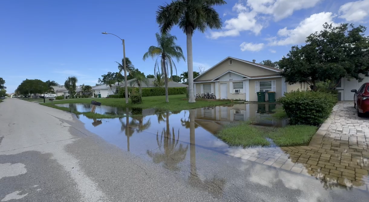 Naples Park Flooding