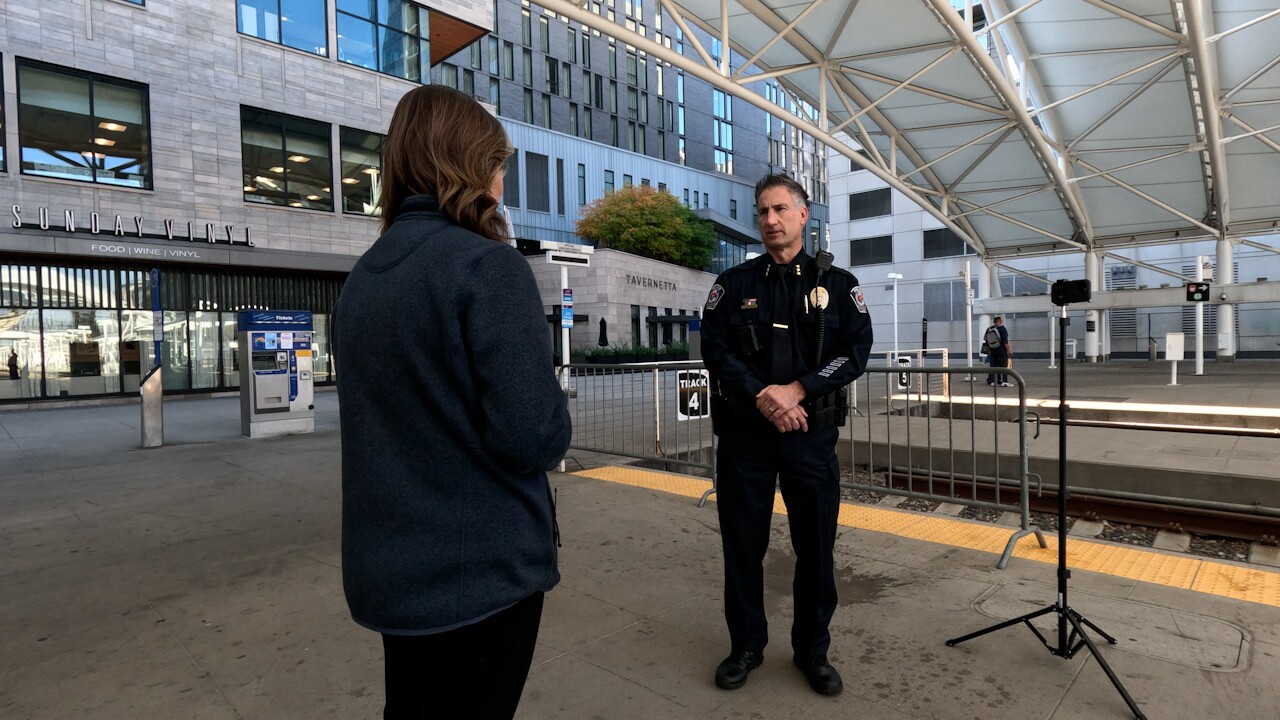 STEVE MARTINGANO.jpg