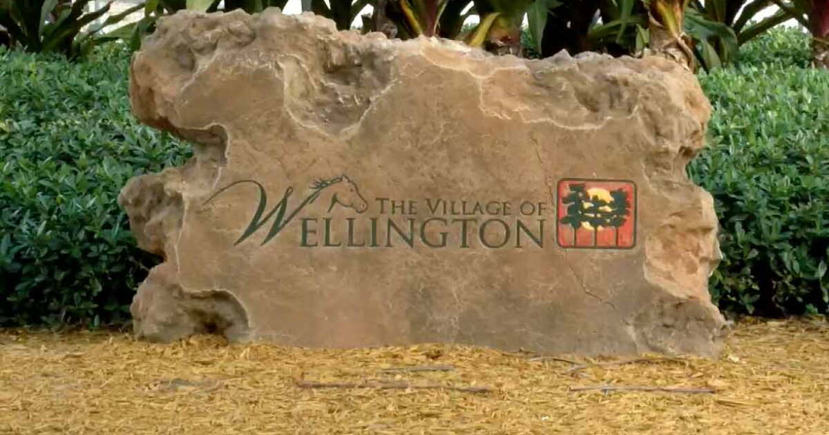 Wellington votes on age restriction and valid government ID for e-bikes and e-scooters