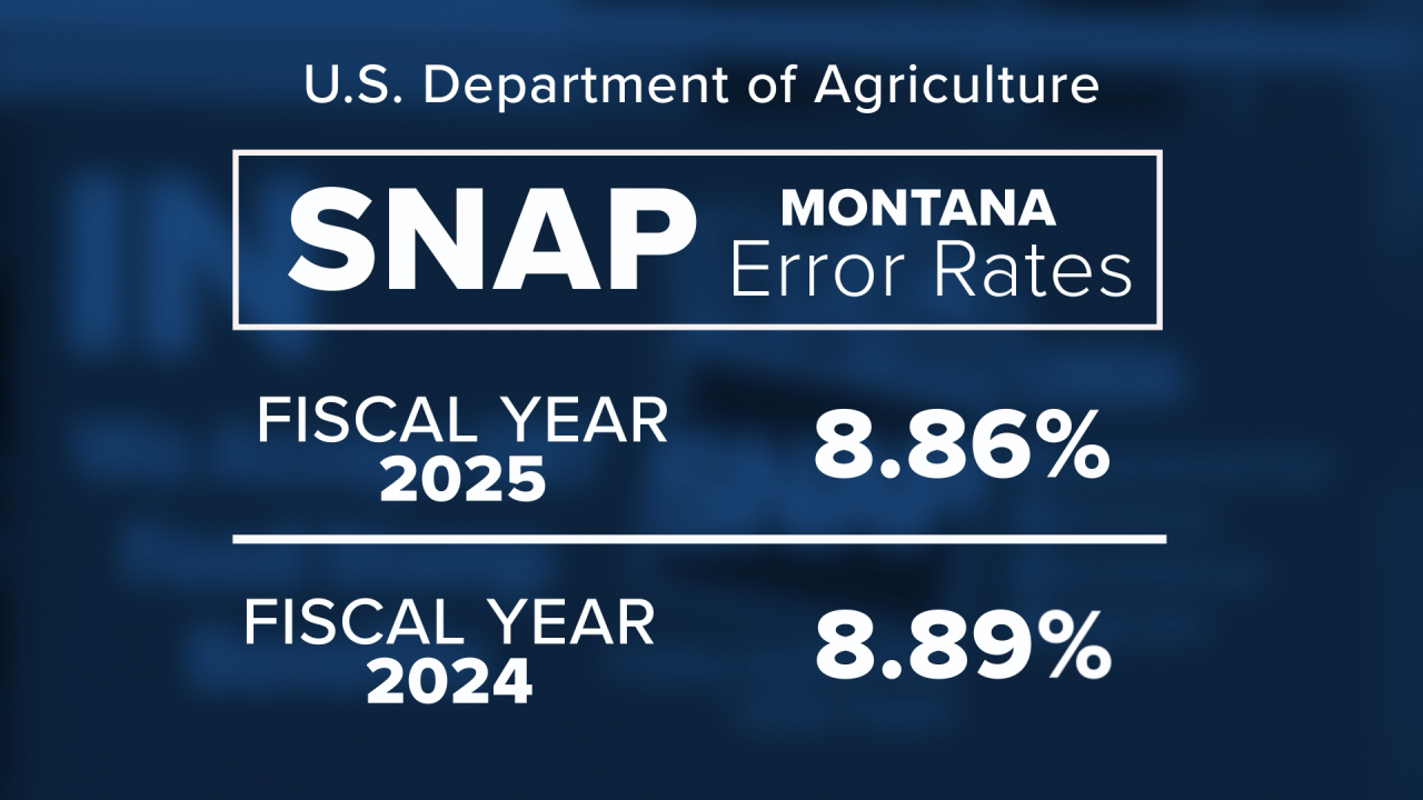 SNAP Error Rates