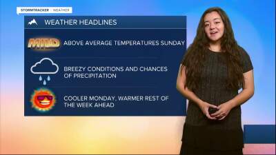 Poster image (10).jpg