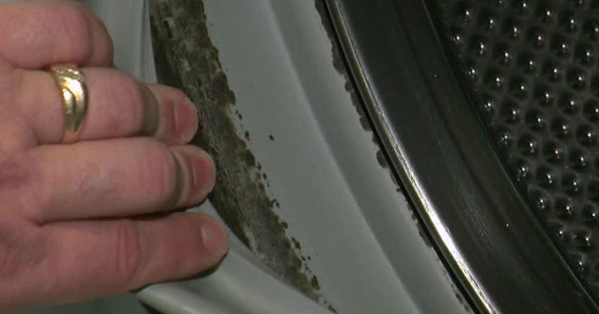 Lawsuits Many Front Load Washing Machines Contain Hidden Mold