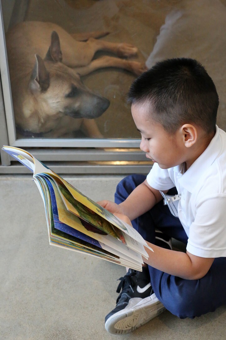 Students from Marion C Seltzer Elementary School read to dog at City Dogs.