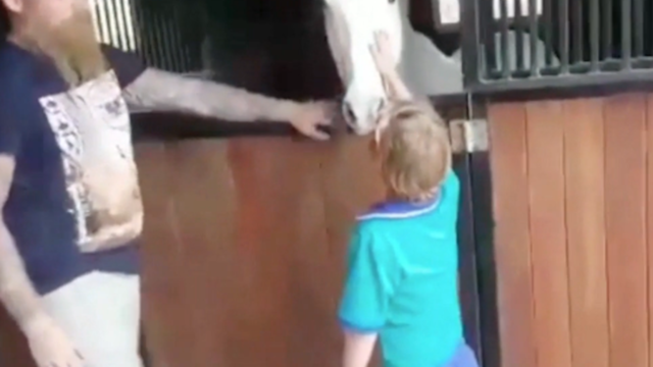 Boy sells lemonade for 2 years to buy his own horse