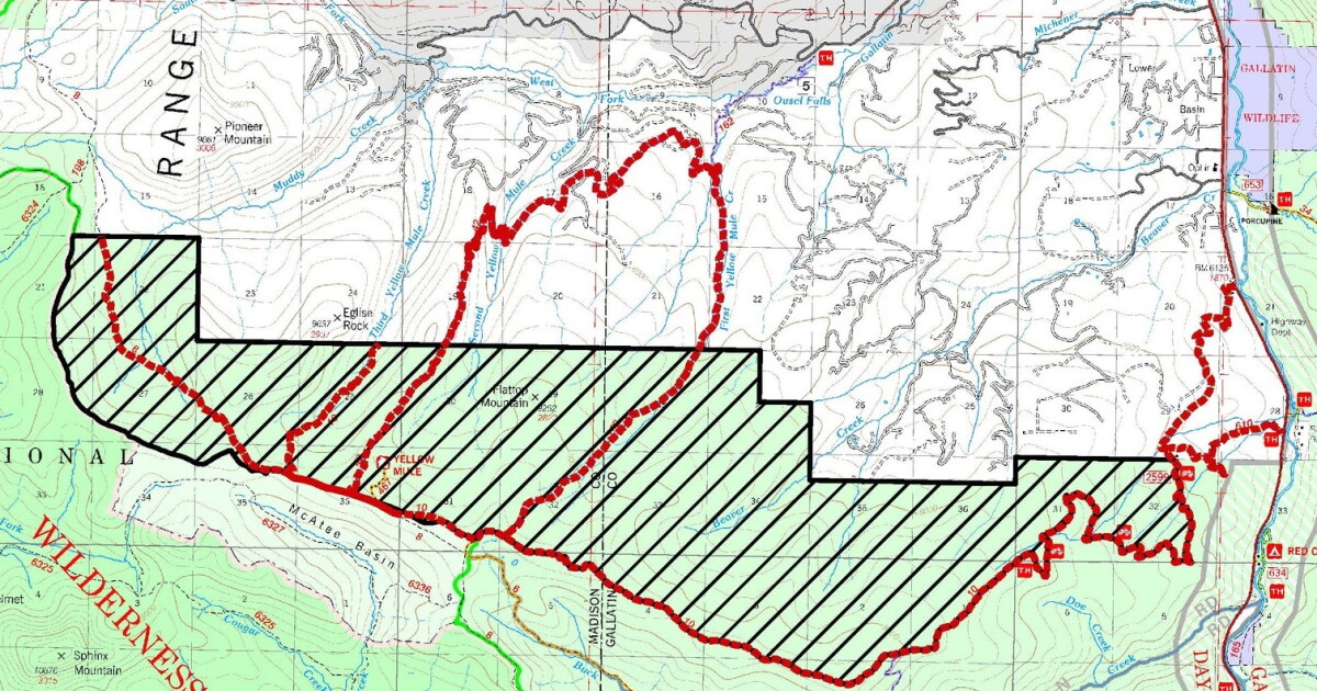 Grizzly attacks person near Big Sky, emergency closure implemented - Vimarsana News