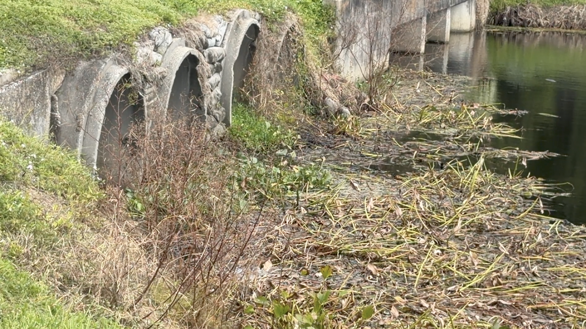 Canals in Largo
