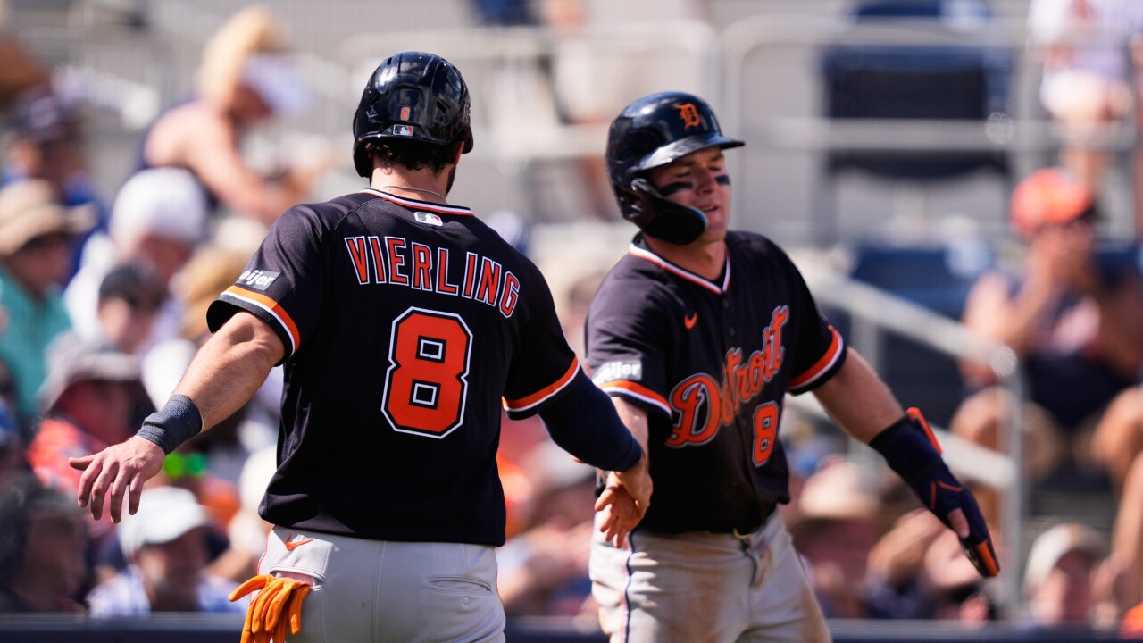 Tigers Rays Spring Baseball