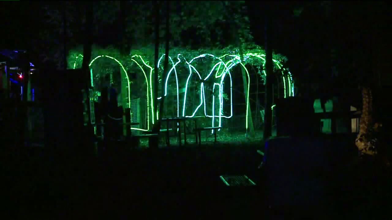 IllumiZoo