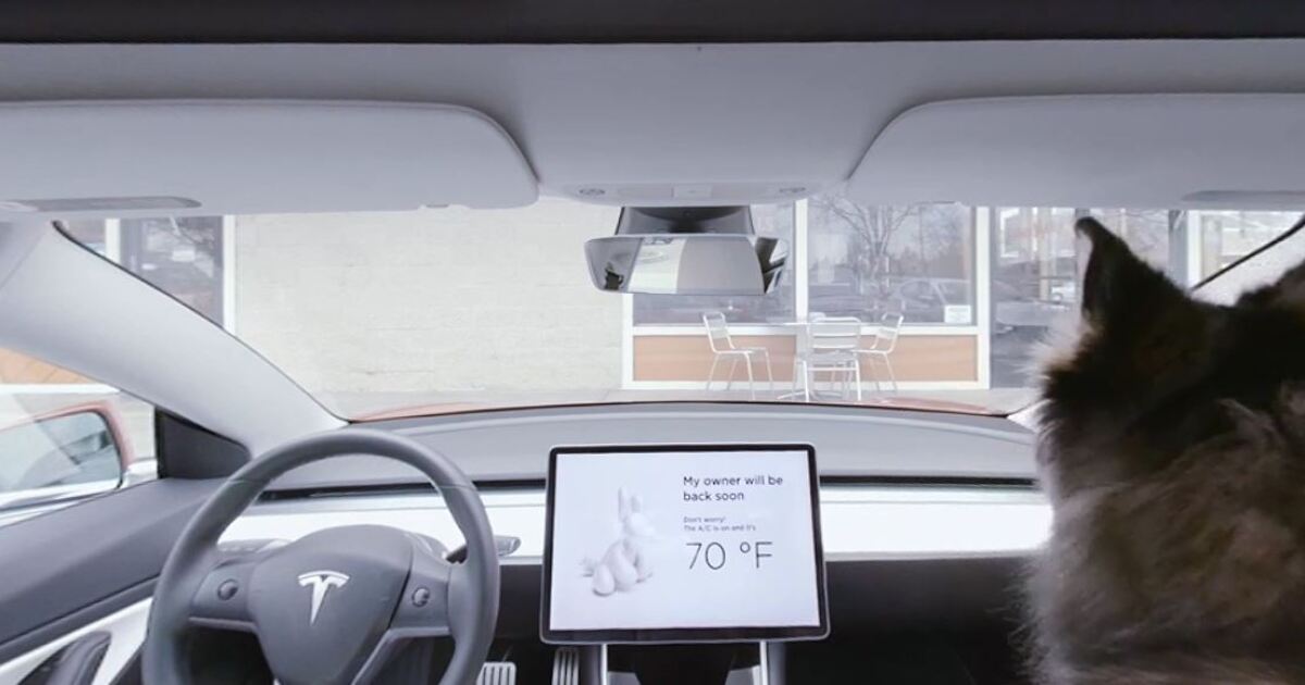Tesla's 'dog mode' keeps unattended pets cool while vehicle is off