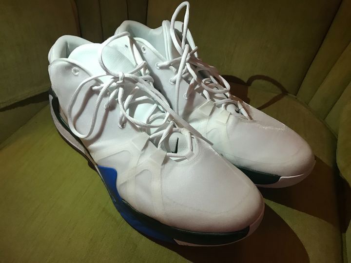 Giannis Shoe 2.jpg