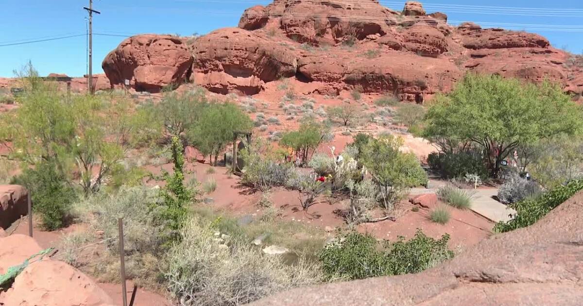 Red Hills Desert Garden marks 10 years as St. George's hidden oasis - Fox 13 News