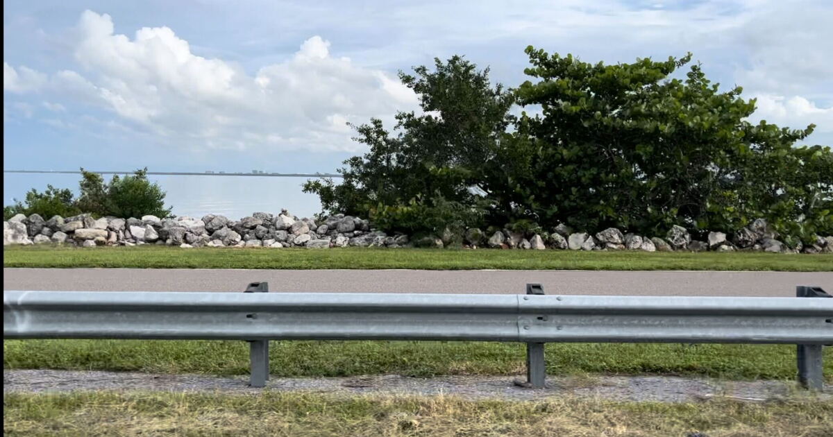 Tampa Bay DJ suffers from heat exhaustion during 12-mile run - Vimarsana News