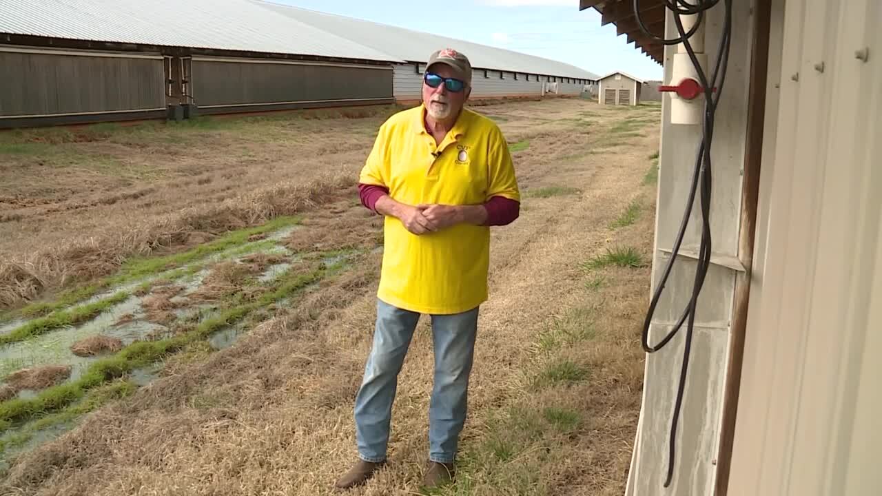 Tyson Foods Chicken Plant Closure