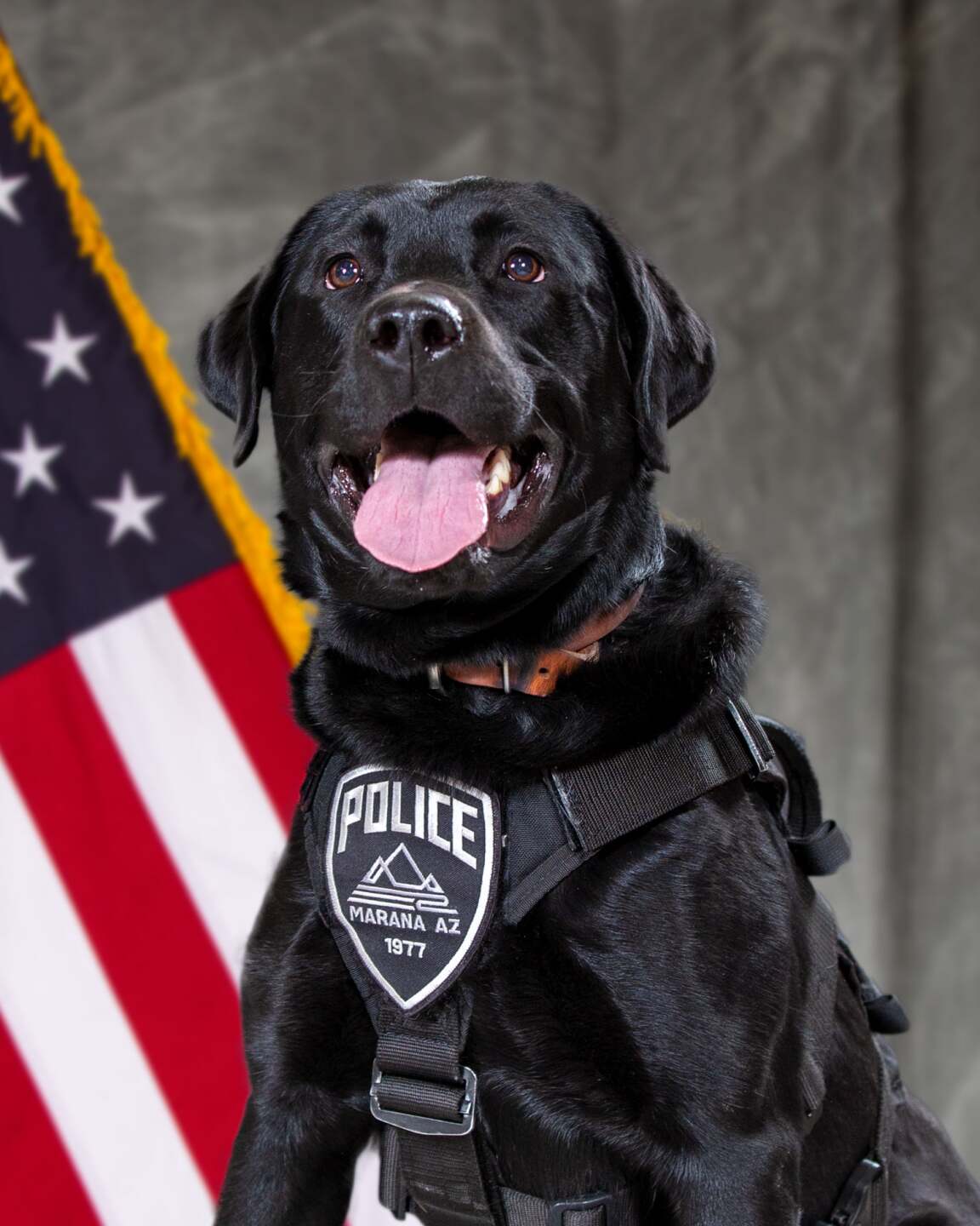 Marana Police Department