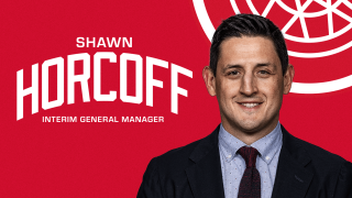 Shawn Horcoff Red Wings interim GM