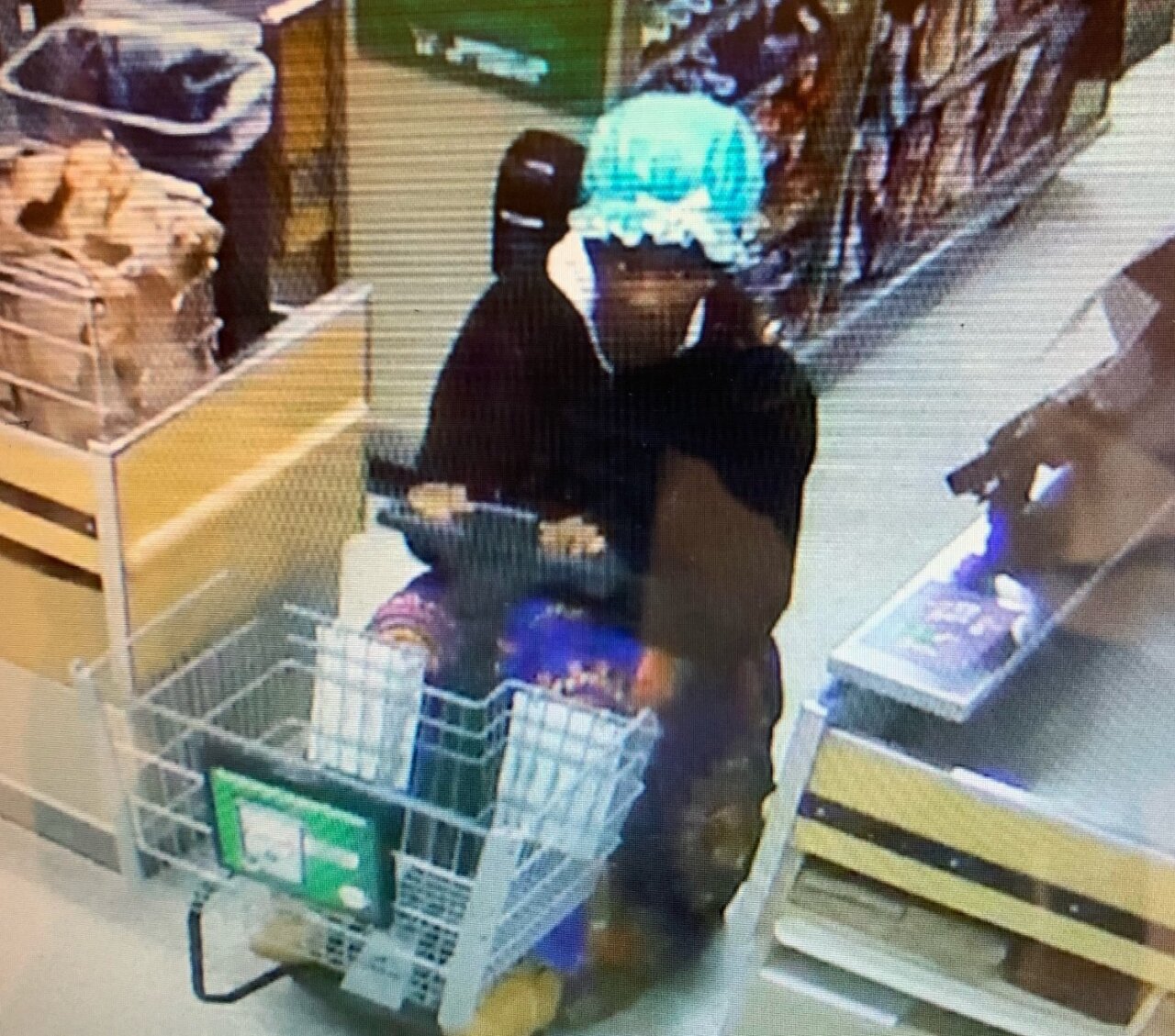Blue bonnet baby thief 1.jpeg