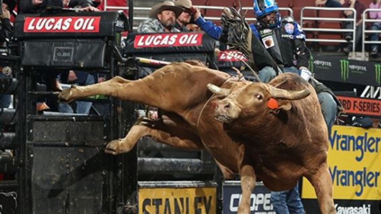 PBR Dirteater.JPG