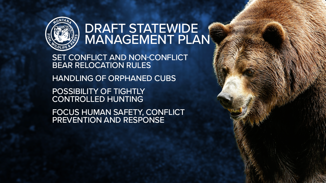 GFX Grizzly Delist 11.png