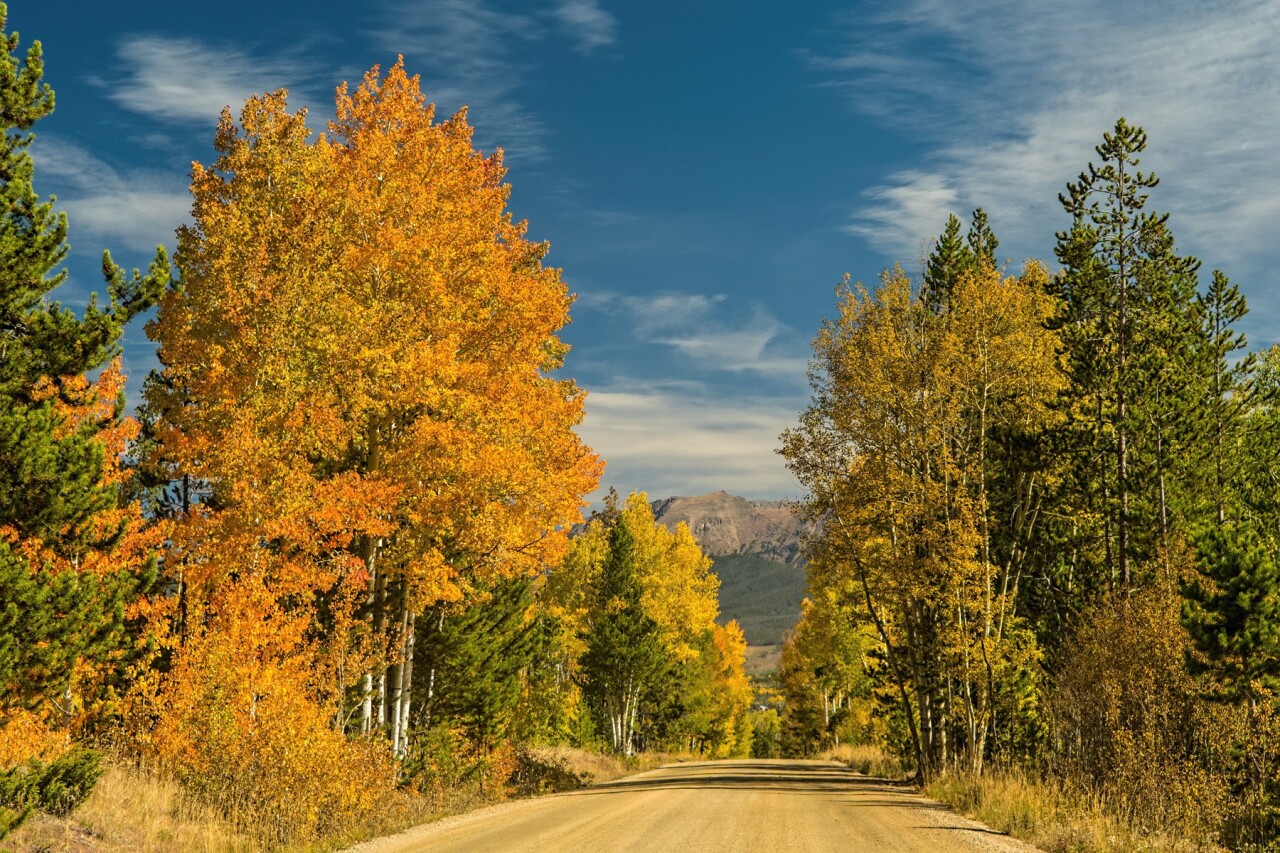 Frasier in the fall by Jim Bennett