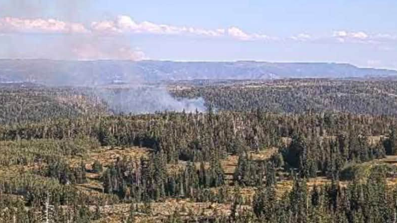 Wildfire breaks out in Carbon County's Range Creek, no structures threatened