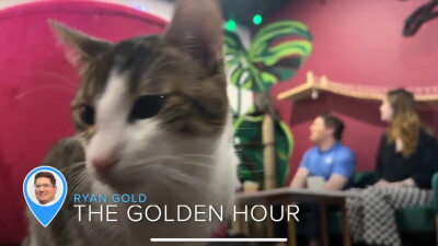 Golden Hour Title Card