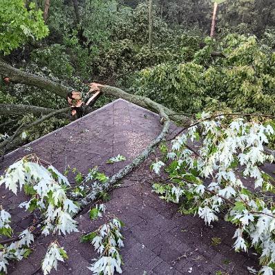Tornado damage can't stop Richfield wedding this weekend, thanks to caring Washington County neighbors