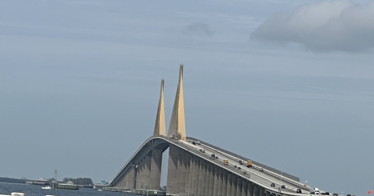Preventative measures on Skyway Bridge cause drastic decline in suicides - Vimarsana News