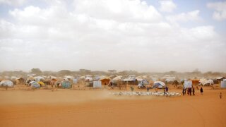 World Bank Climate Migration