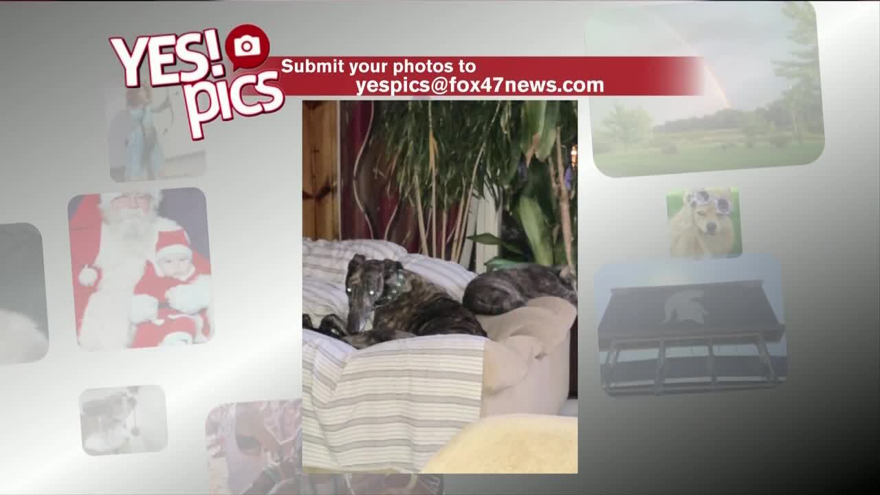 Yes! Pics - 3/20/19b