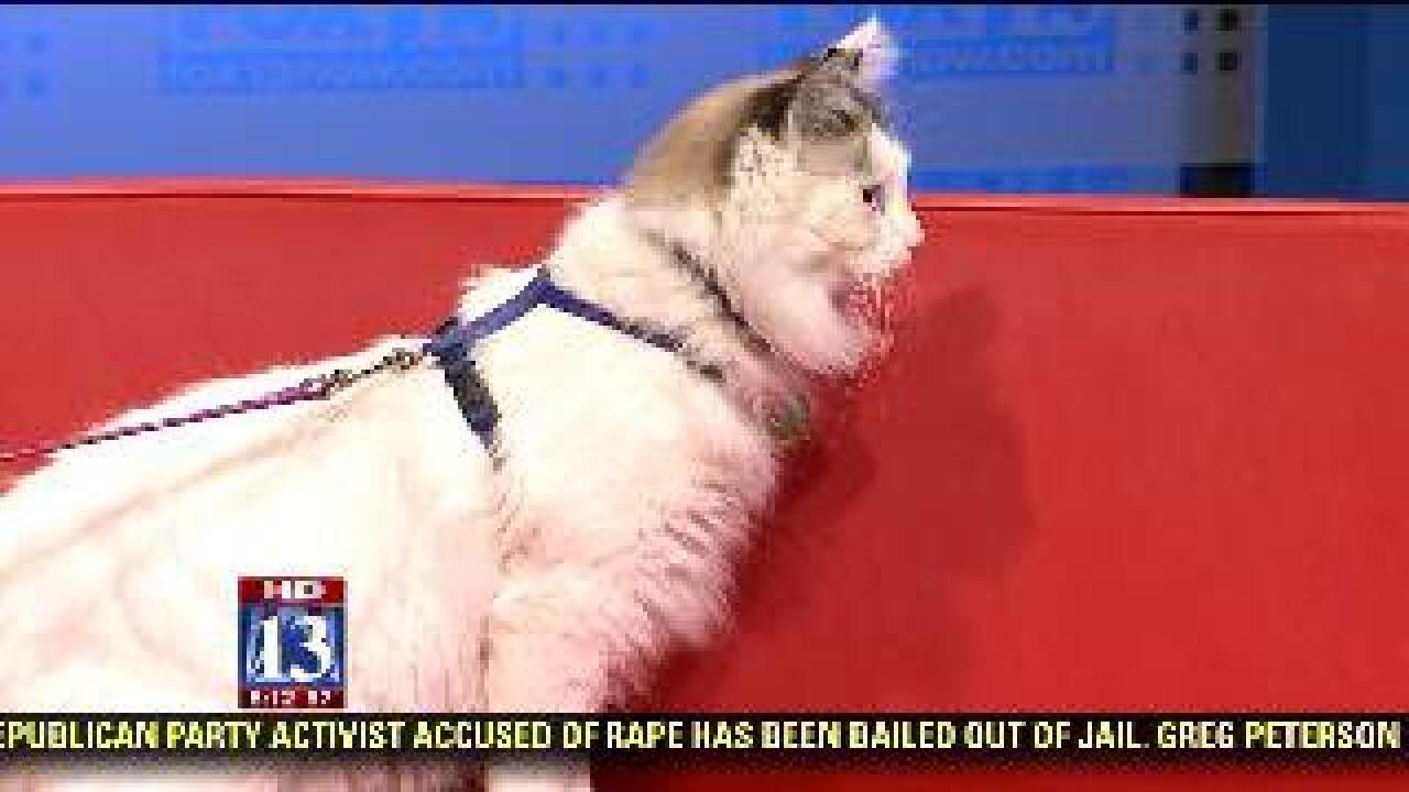 FOX 13’s Best Friend: Megan