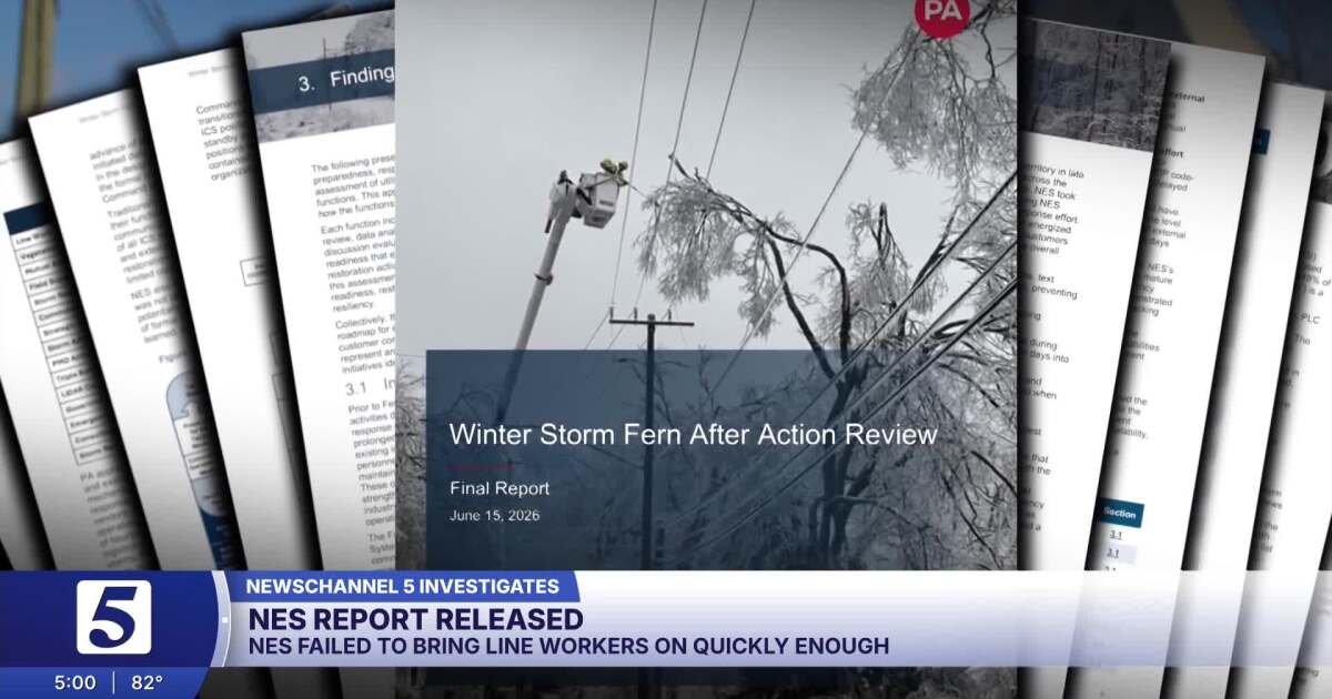 NES ice storm review finds delayed response, tree trimming failures and poor emergency response plan