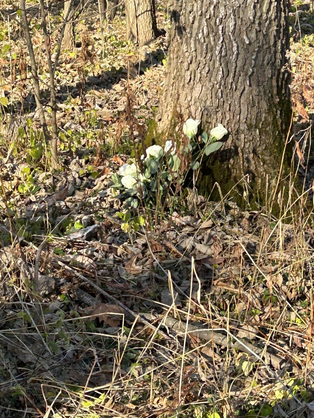 Misty left flowers in Indiana where her mother's body was found 