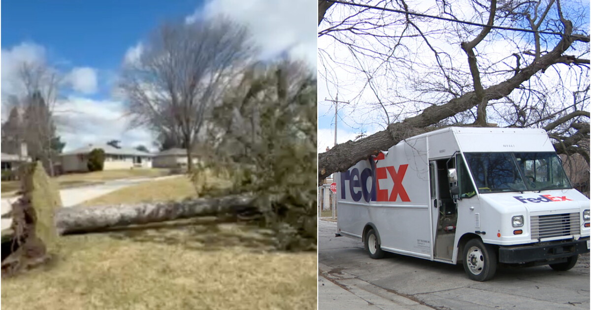 High winds force closures, down trees across southeast Wisconsin