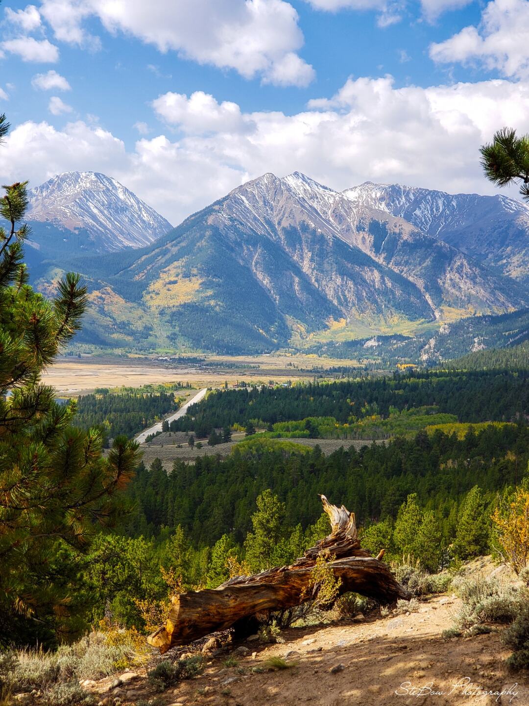 Between Minturn and Silverton aspens_Steve Bowens