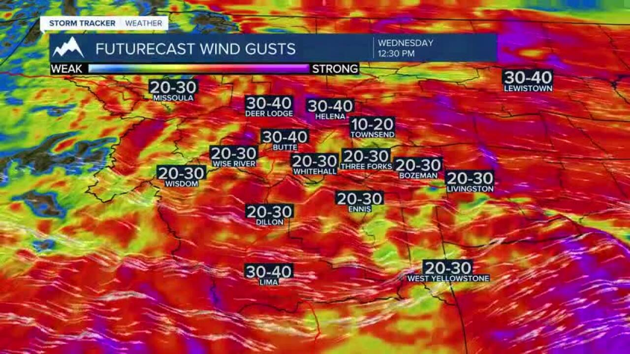 Gusty Wind.jpg