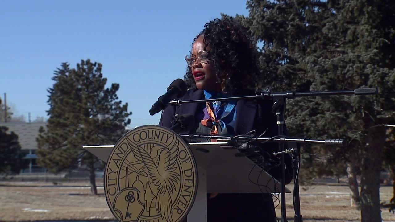 Councilwoman Shontel Lewis