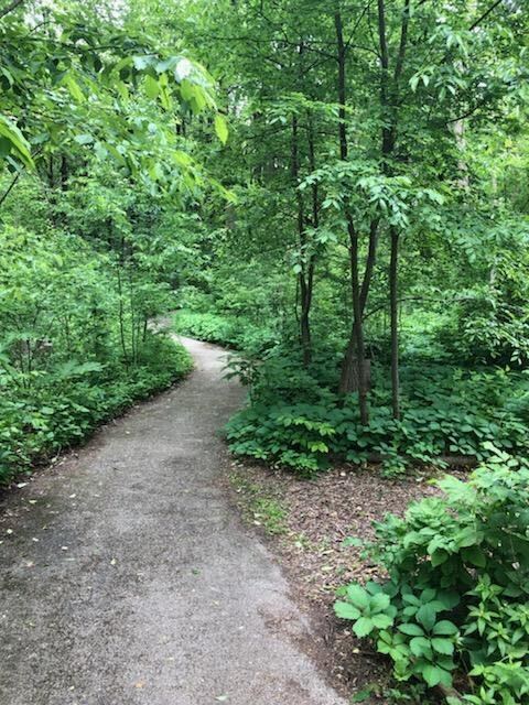 Image from iOS - 2022-05-31T175937.516.jpg