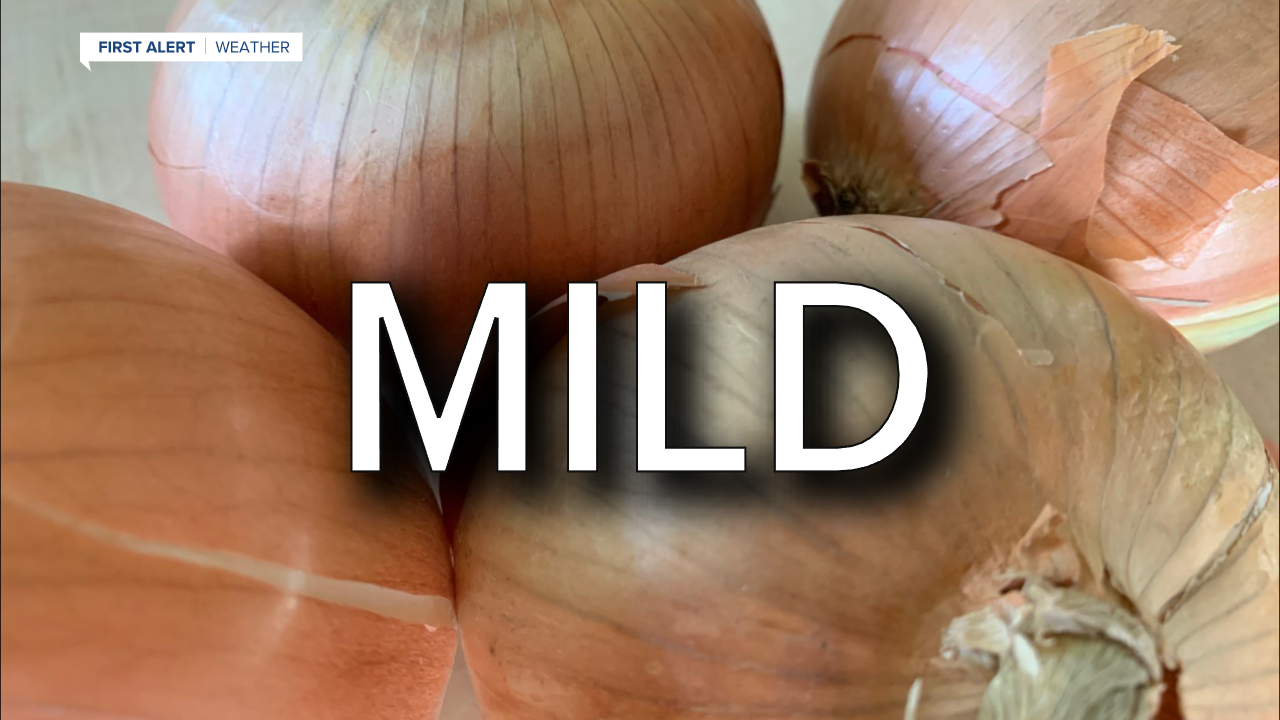 onion