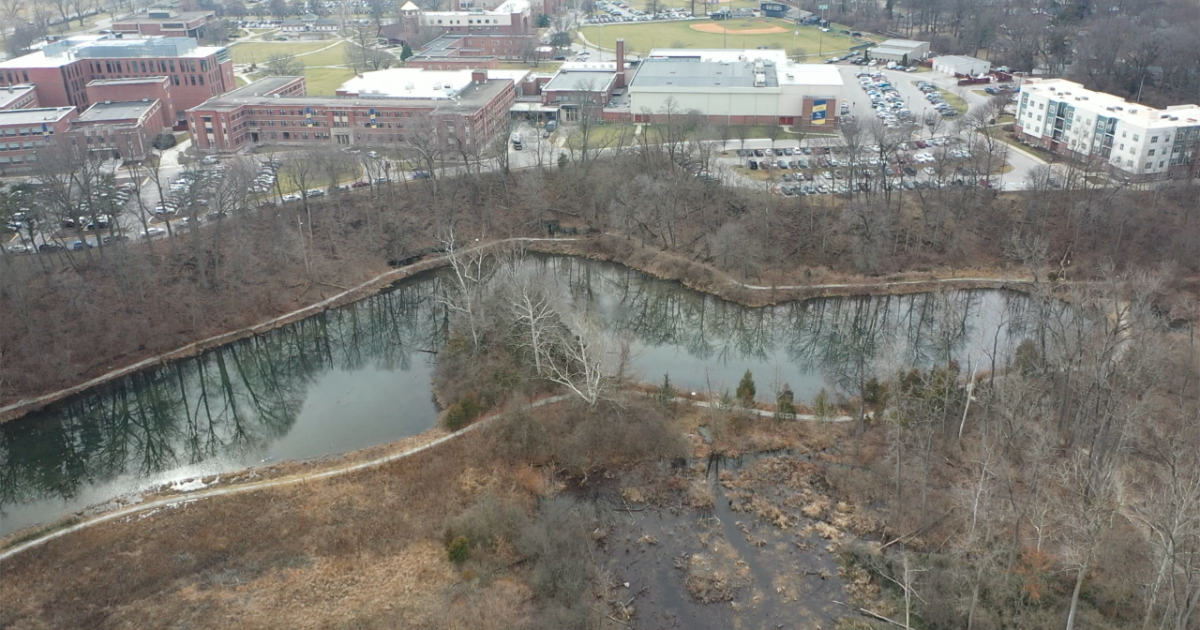 Bill headed to governor's desk that would allow more development on wetlands - Vimarsana News