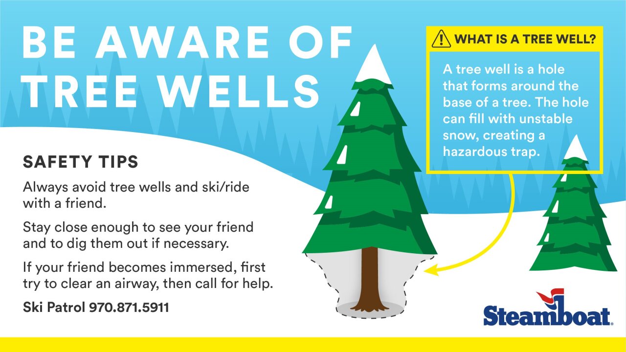 tree well safety