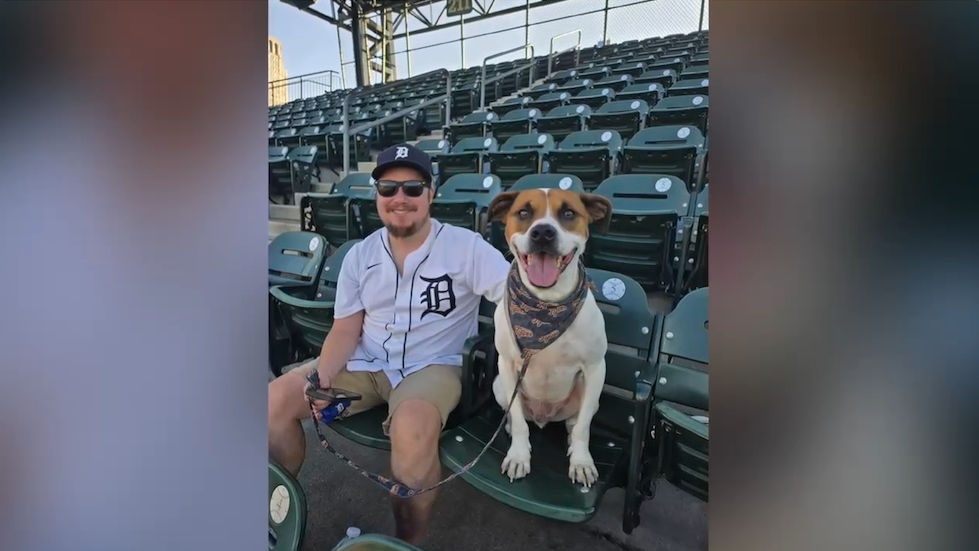 Screenshot 2025-10-06 at 10.33.07 PM.png