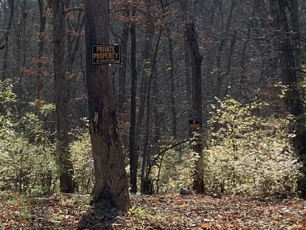 Former Kamlage property in Carlilse, Ky