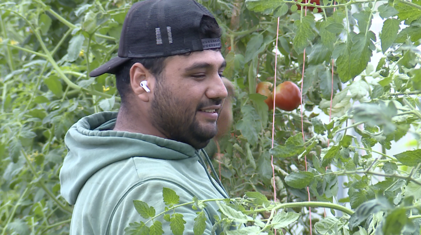 Victor, Migrant worker