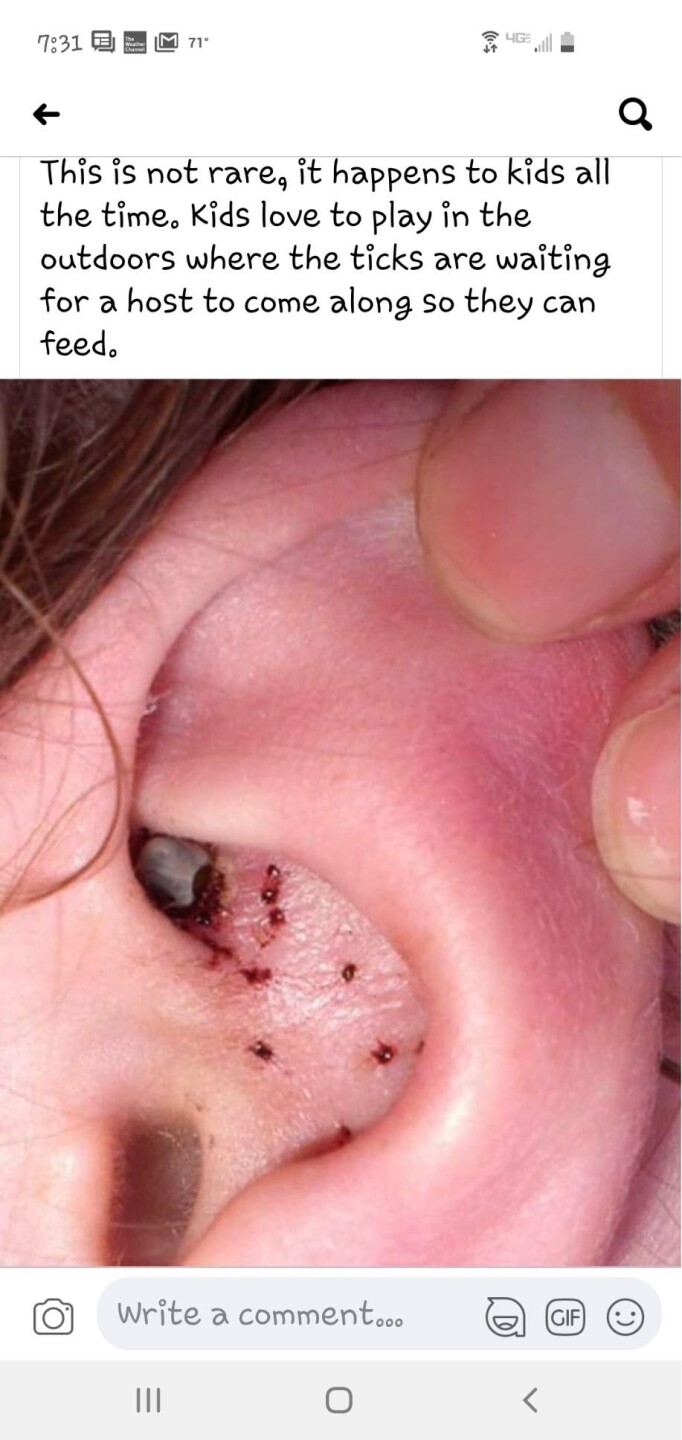 EAR TICKS.jpg