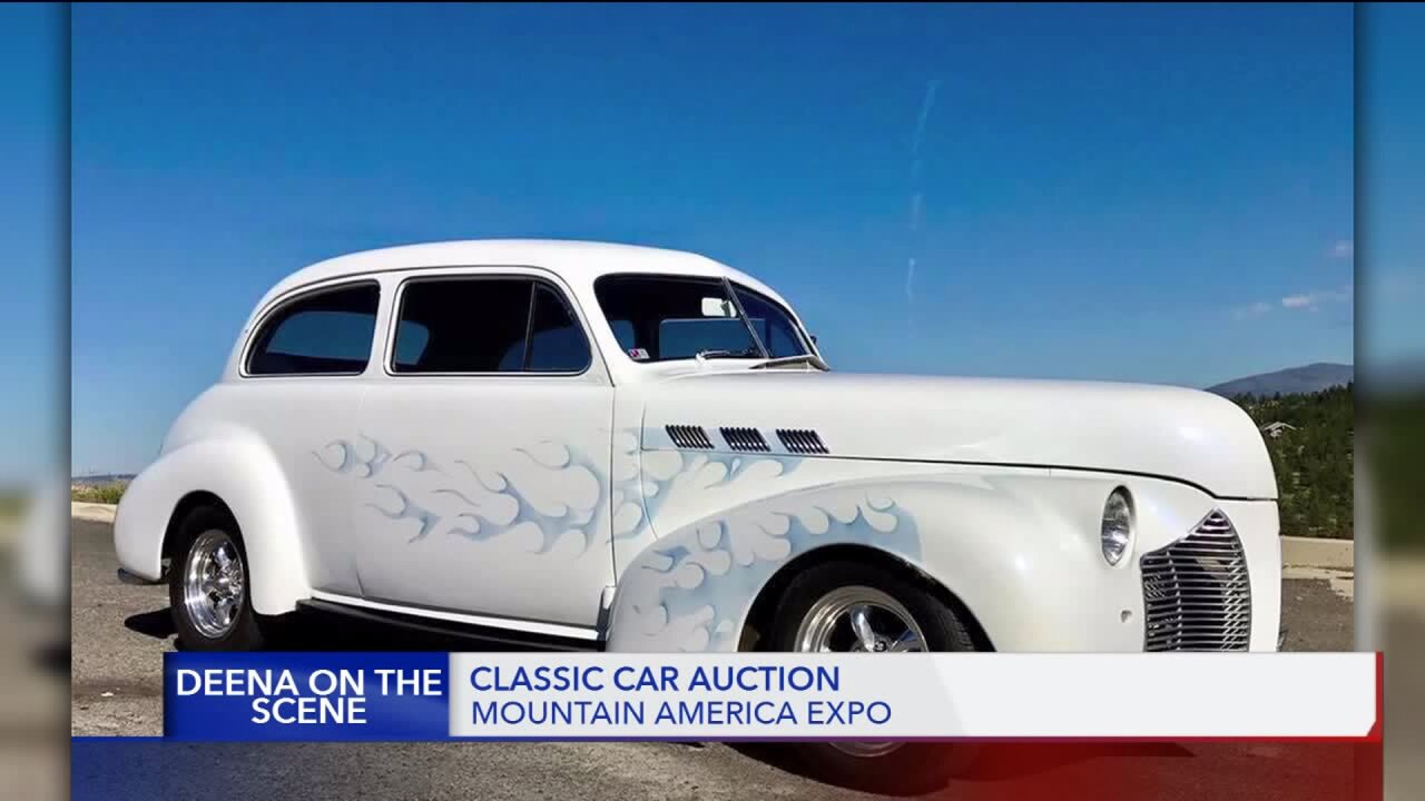 Deena on the Scene: festival of colors, classic car auction, and ‘tats for cats’