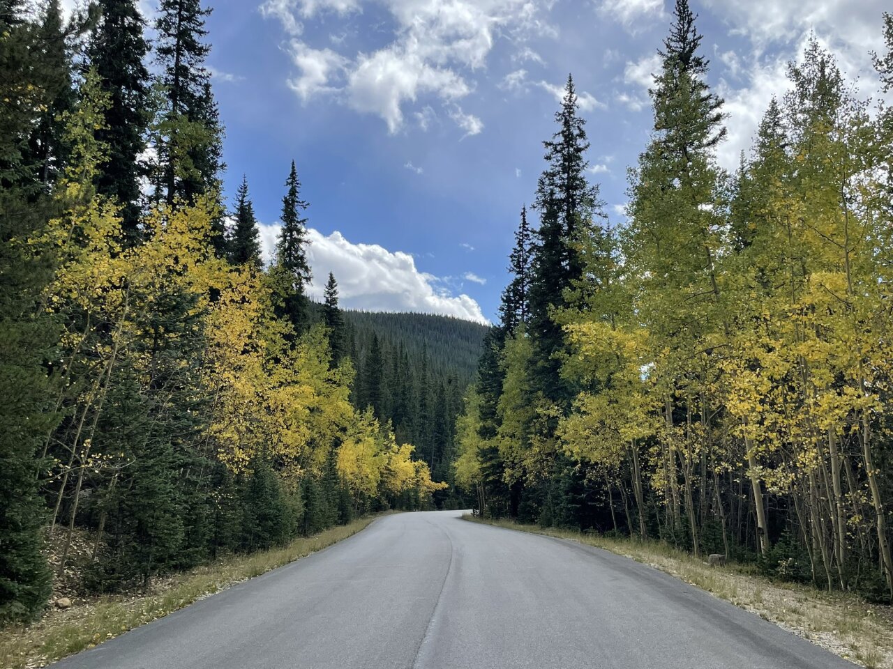 Guanella Pass Sept 16 2022 aspens